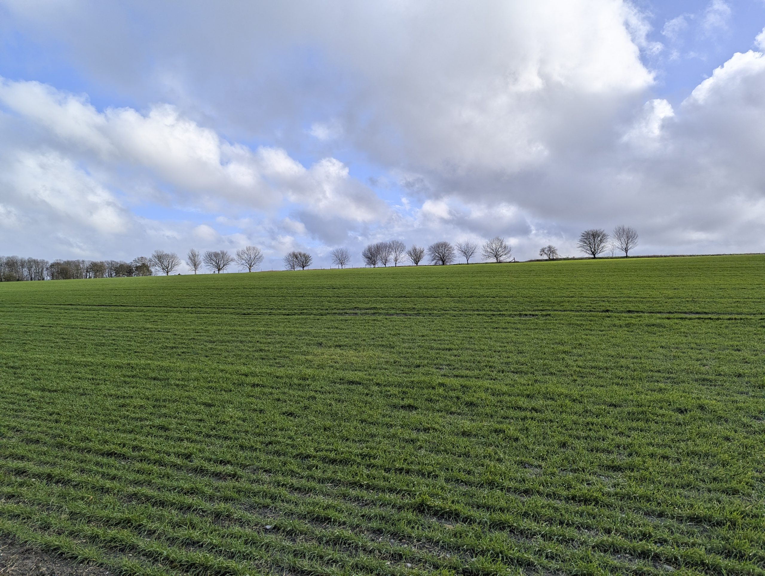 Land off Springfield Road, Wantage, Oxfordshire, OX12 8HB