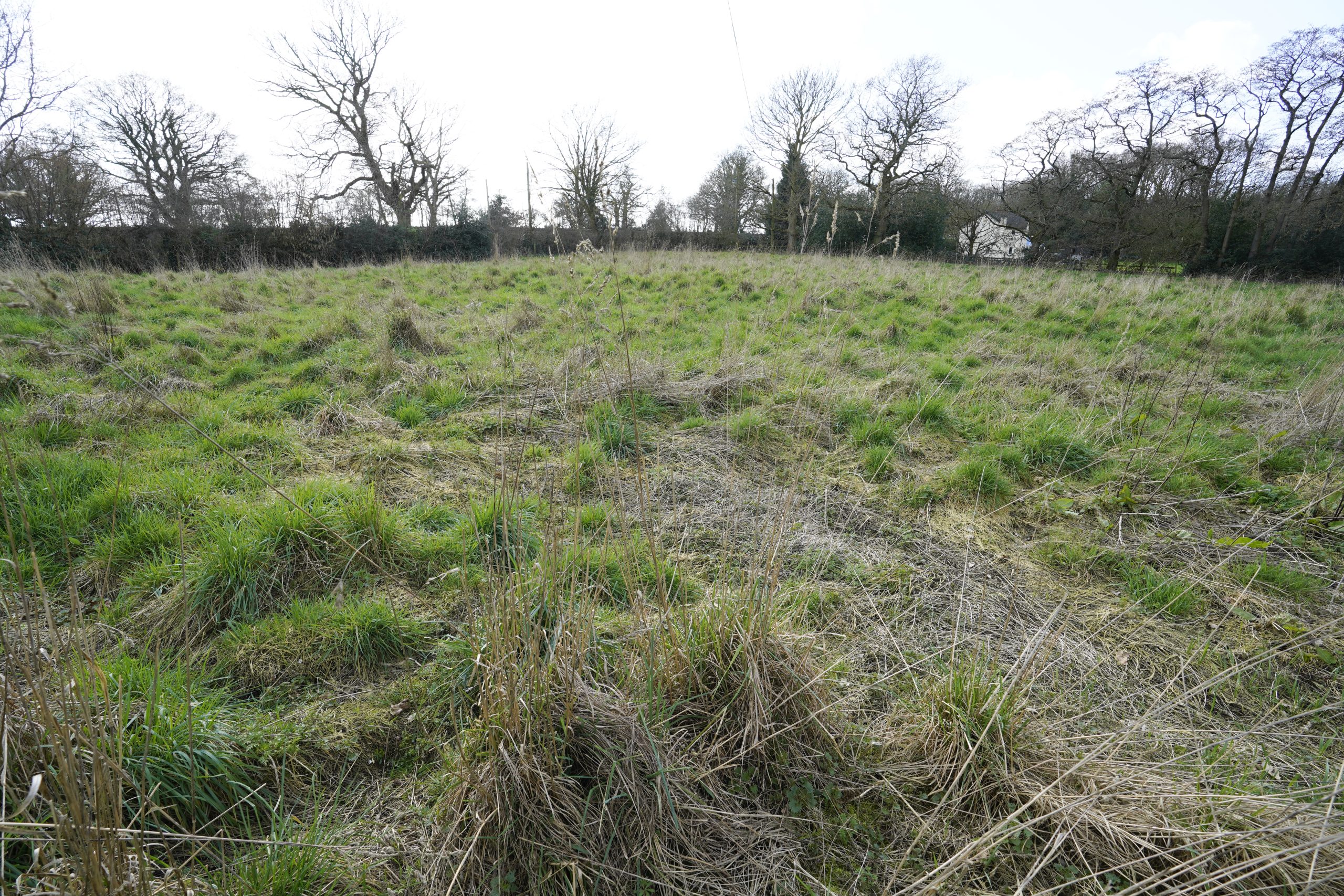 Land off Wrenbury Heath Road, Newtown, Sound Nantwich, CW5 8BG
