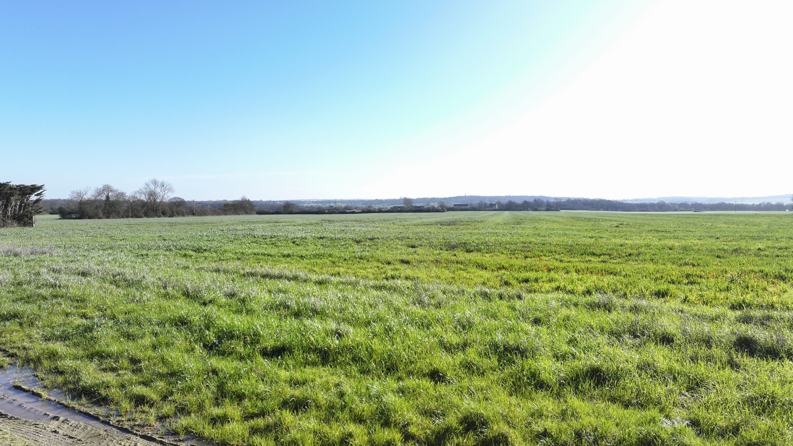 Land off Writtle Road, Margaretting, Ingatestone, CM4 0EH