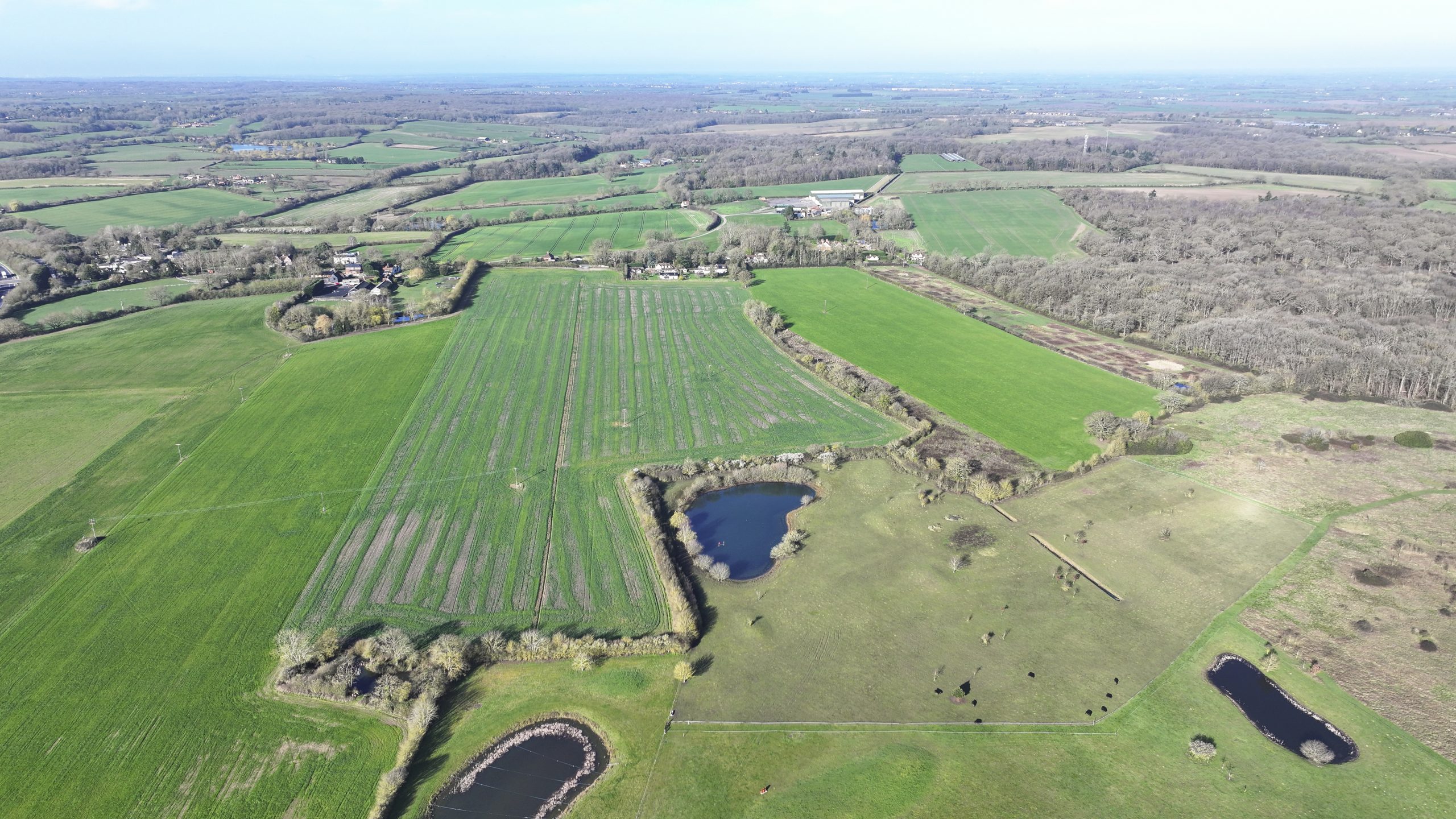 Land off Writtle Road, Margaretting, Ingatestone, CM4 0EH